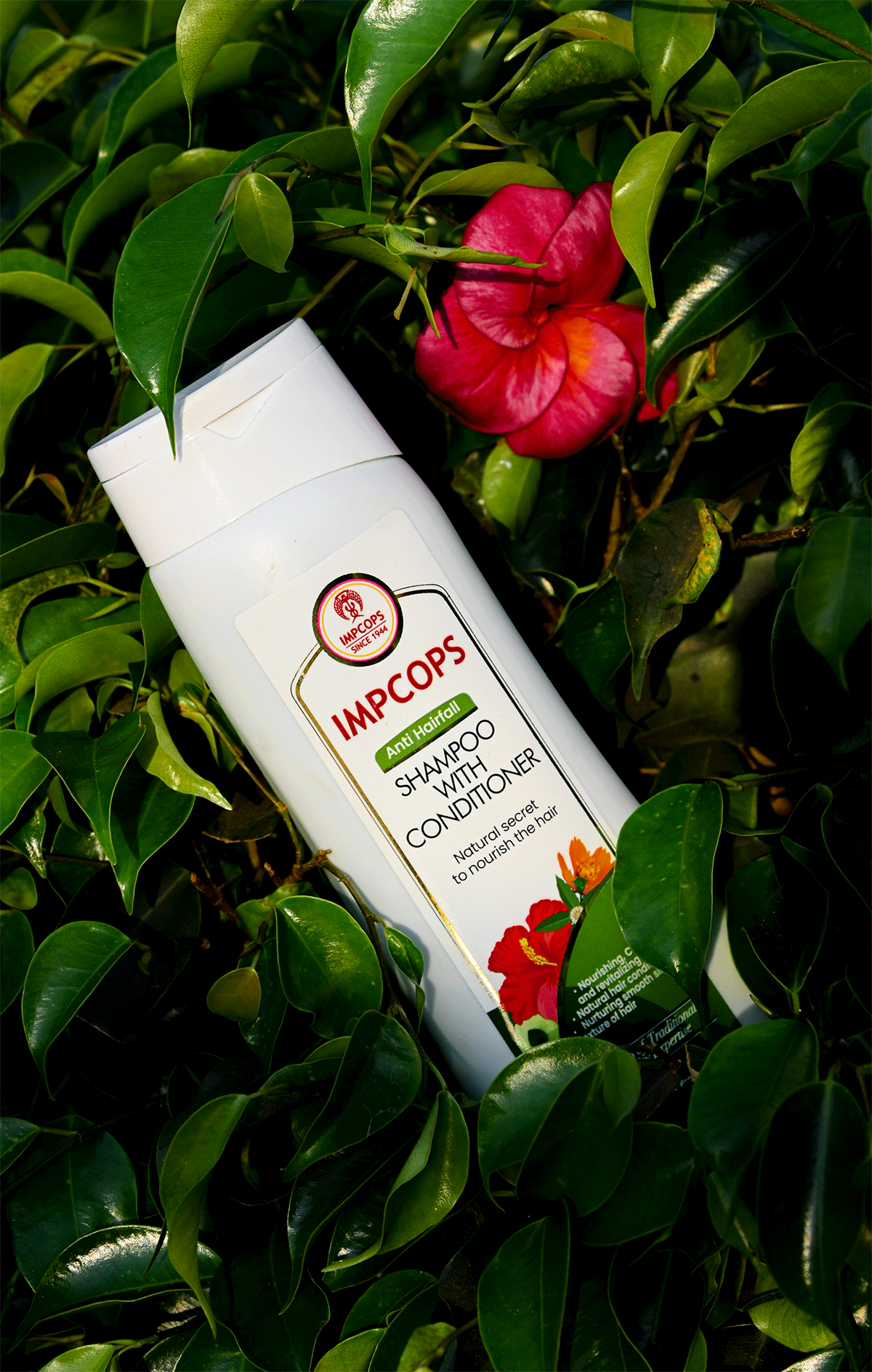 IMPCOPS | Video Production